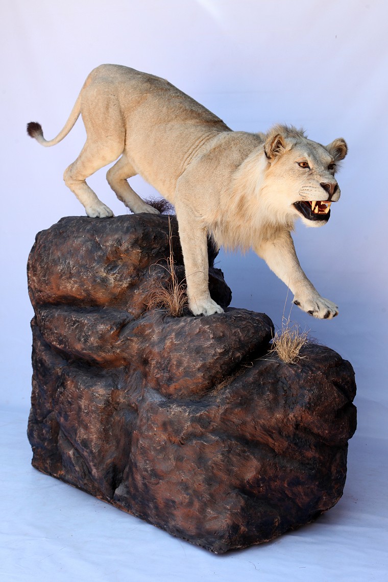 Full Mount